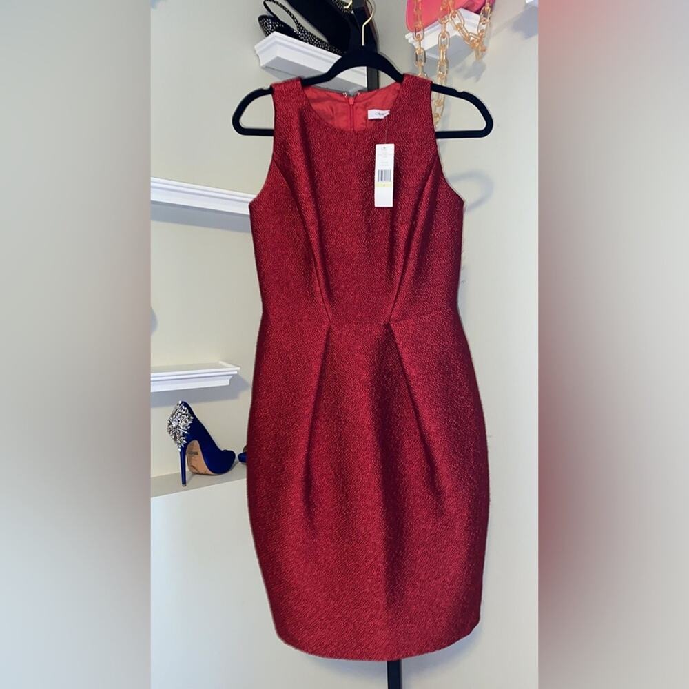 Carmen Marc Valvo Ruby Dress - Picture 10 of 12
